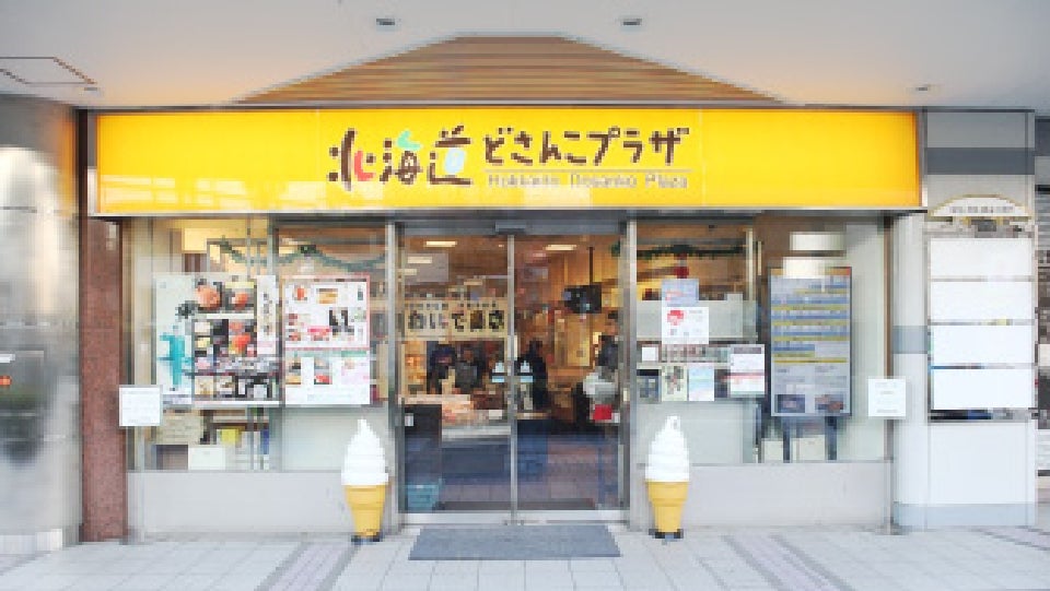 홋카이도 도산코 플라자