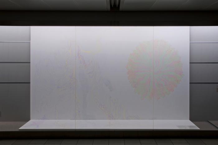 Drawing/Coupling, 2011, dimensions variable, pencil and pen on wall Diagram for metamorphose, 2011, dimensions variable, pencil and colored pencil on wall