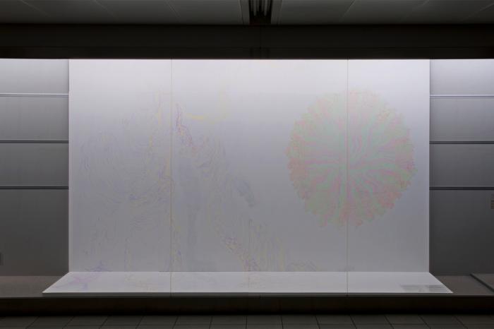 Drawing/Coupling, 2011, dimensions variable, pencil and pen on wall
	Diagram for metamorphose, 2011, dimensions variable, pencil and colored pencil on wall