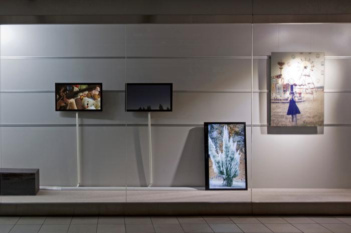 placebo, 2012, dimension variable, video installation: 5min. utsutsu nation, 2012, 728×1030mm, photo