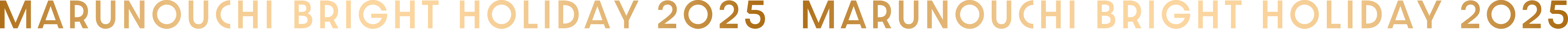 MARUNOUCHI BRIGHT HOLIDAY 2025