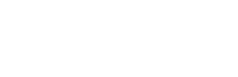 お手軽品