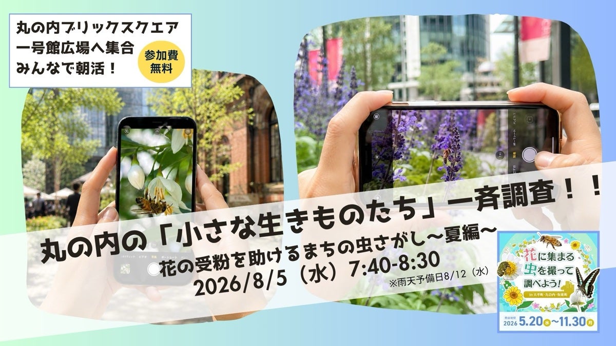 丸の内の「小さな生きものたち」一斉調査