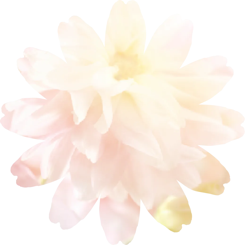 打造出春天印象的華麗罩衫