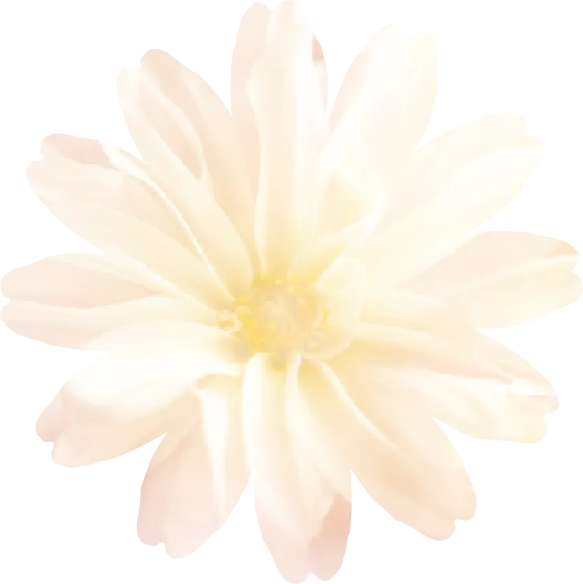 享受春天外出的高雅休閒