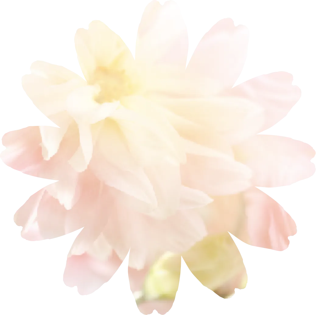 初次見面第一印象服